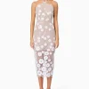 Elliatt - Elodie Midi Dress - Ivory Nude