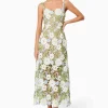 Elliatt - Flora Lace Midi Dress - Multi