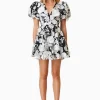 Elliatt - Selene Mini Dress - Black/White